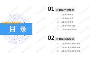 2019年中國大數(shù)據(jù)產(chǎn)業(yè)市場前景研究報告——應(yīng)用軟件服務(wù)篇